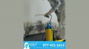 FDP Mold Remediation