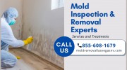 All US Mold Removal Las Vegas NV