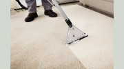 Langenwalter Carpet Care & Water Restoration