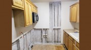 TampaBayMold.net