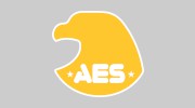 Allied Emergency Services