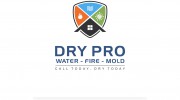 Dry Pro Water Fire Mold