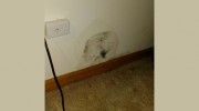 Illinois Mold Eradicator