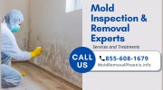 All US Mold Removal Phoenix AZ Mold Remediation Services