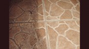 Safe Clean Carpet Upholstery & Tile