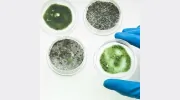 Unbiased Mold Testing