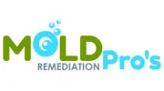 Mold Remediation Pros