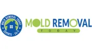 Mold Removal Today