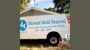 Mowatt mold removal