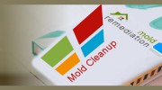 Max Mold Remediation