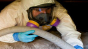 Mold Removal Sacramento