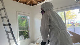 Insulation Clean Up Insulation Clean Up